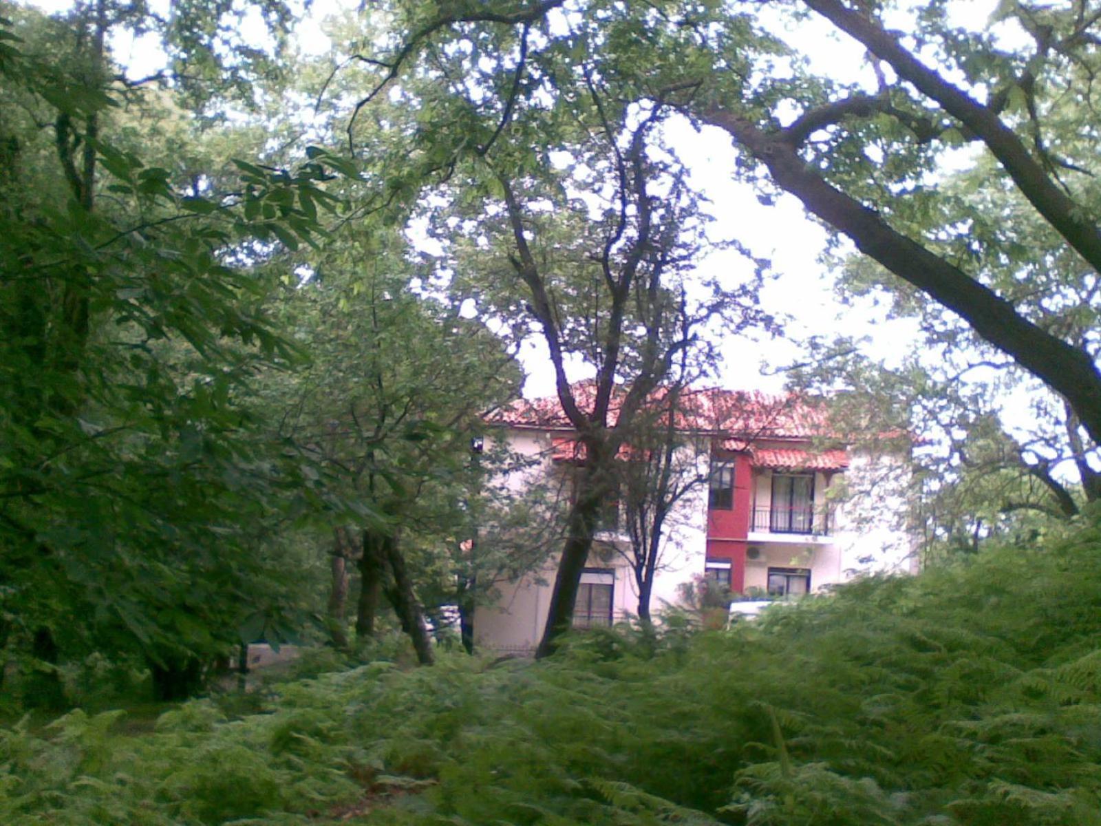 Orpheus Hotel Therma  Dış mekan fotoğraf