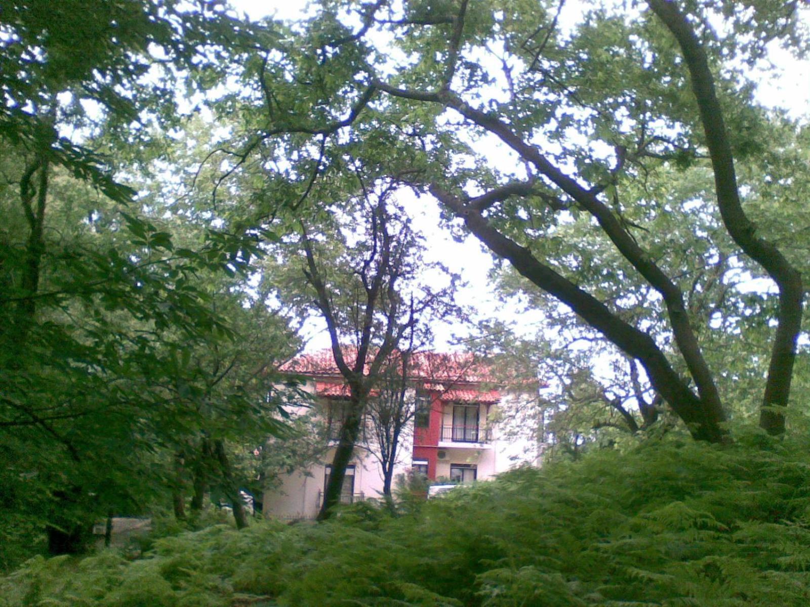 Orpheus Hotel Therma  Dış mekan fotoğraf